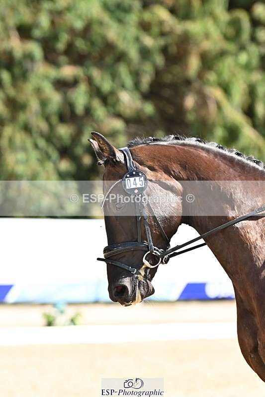 250808A-155113-01767 - 045-Amanda.PettsLarkshill.Super.Sonic