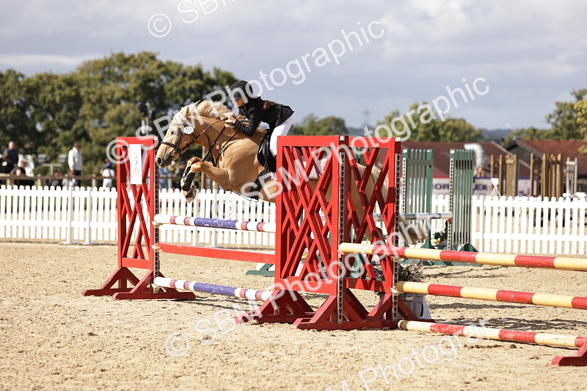 SBM_24081_J45 - Accumulator70 80cm - Christina Spiteri