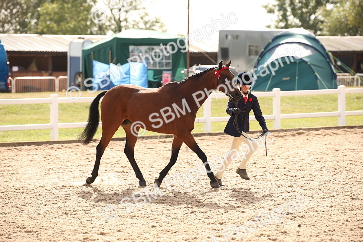 SBM_08148 - Class 27 - IH Competition Horse-Pony