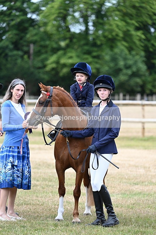 WJ7_9953 - Class 1 Lead Rein Pony