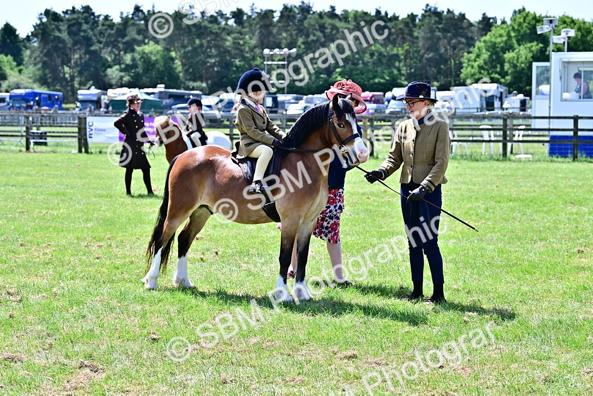 SBM_05824 - Class 59-60 - TSR M&M  Lear Rein and First Ridden Amateur of the year