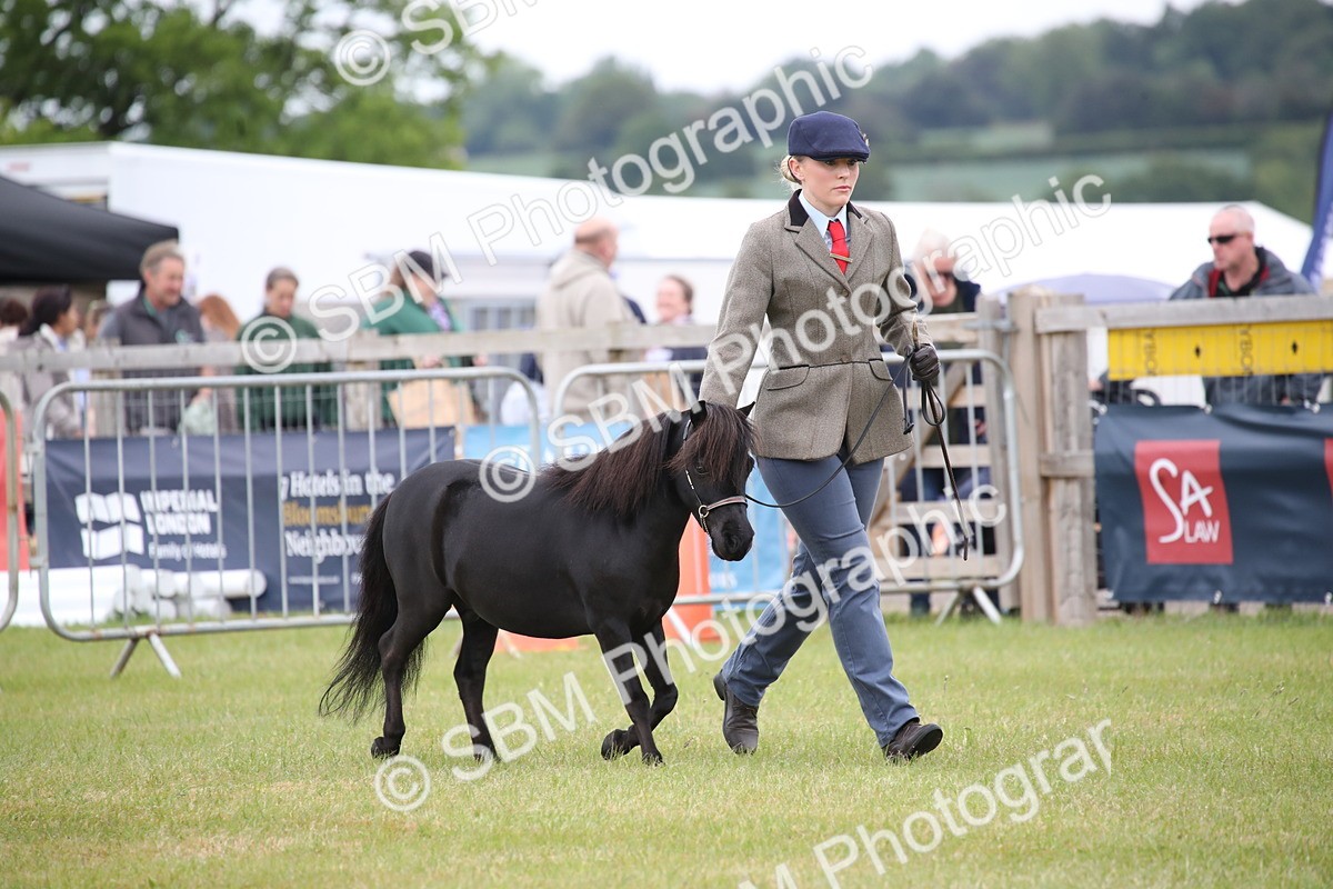 SBM_03888 - Class 23-25 - British Miniature Horse of the Year
