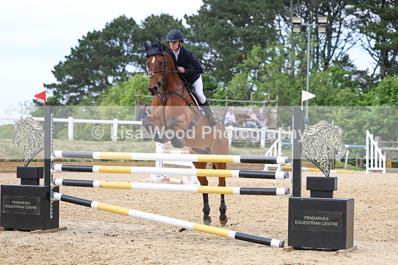 3E7A7613 - Class 8: Senior Foxhunter/1.20 open