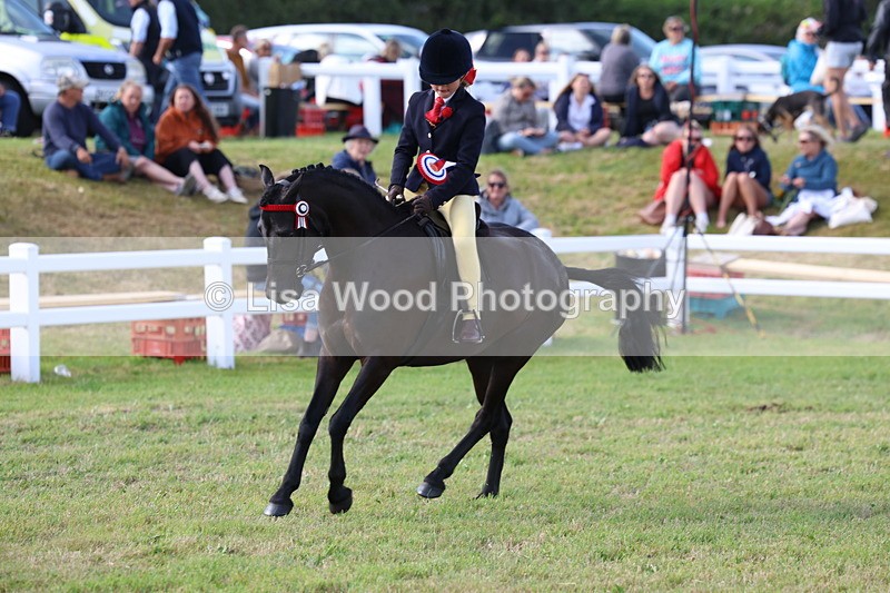 3E7A3970 - Supreme Championship