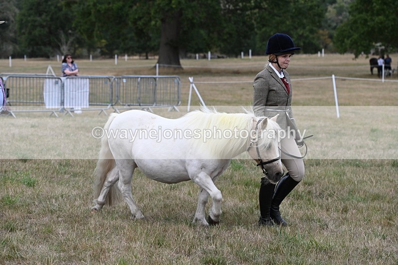 WJ6_6121 - Class 19 In-hand Veterans (Uploaded correct folder)