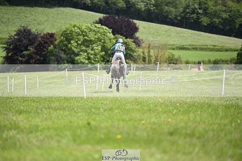 240526-121902-21750 - 529-SBH_BIG_WALL-Izzy_Taylor