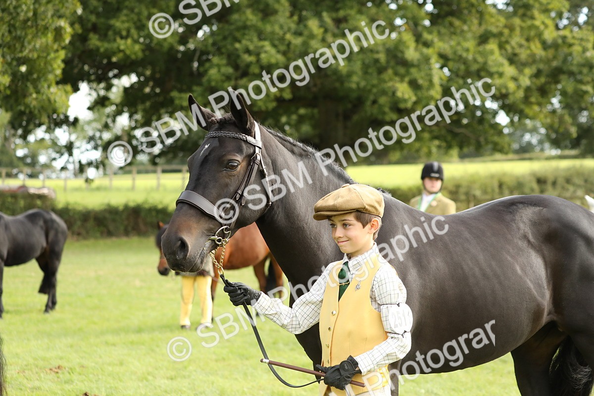 SBM_68700 - S40 - Junior Handler 9-12 Years