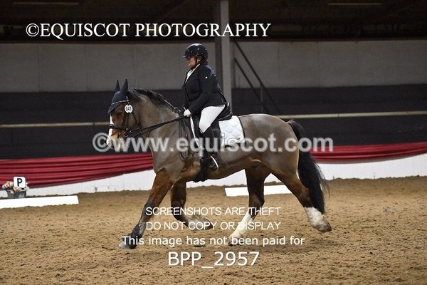 BPP_2957 - ELEM TEST 4