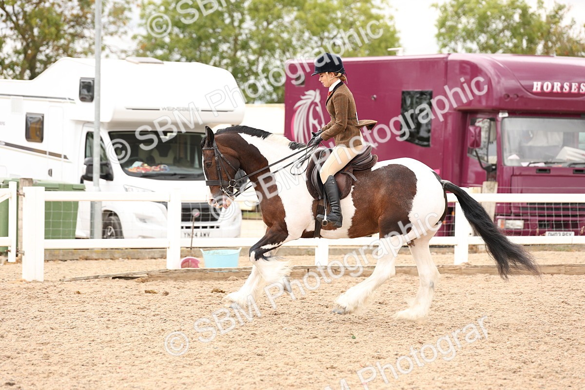 SBM_19681 - Class 216 - Ridden Traditional - Native Cob