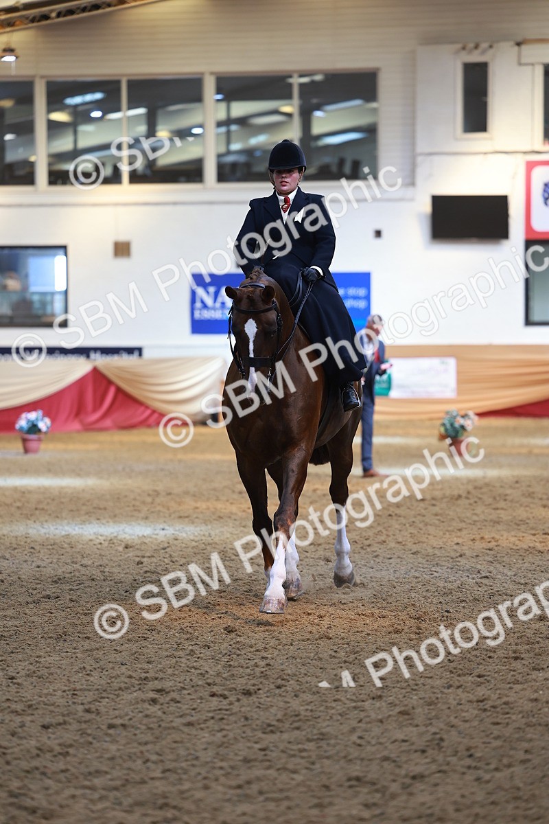 SBM_12547 - Class 103 - HOYS Veteran Qualifier - Ridden Pre Vet