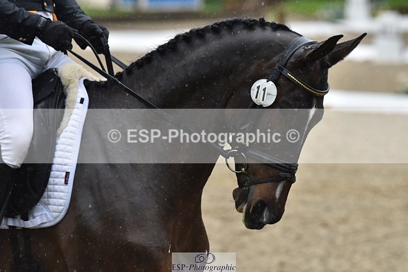 231018-153350-00810 - 011-BIG.QUERLYBET.K.Z-Paul.Whitehead-DR