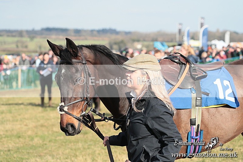 PtP 010325 368 - Beaufort Races Didmarton 01/03/25