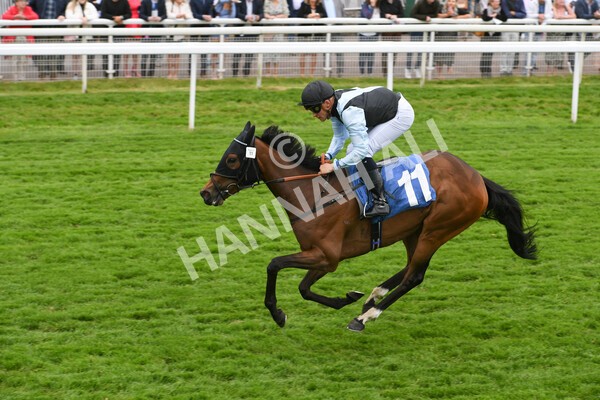 yr22052022r1-22 - Race 1: 3:30pm Sky Bet Sunday Series Apprentice Stakes