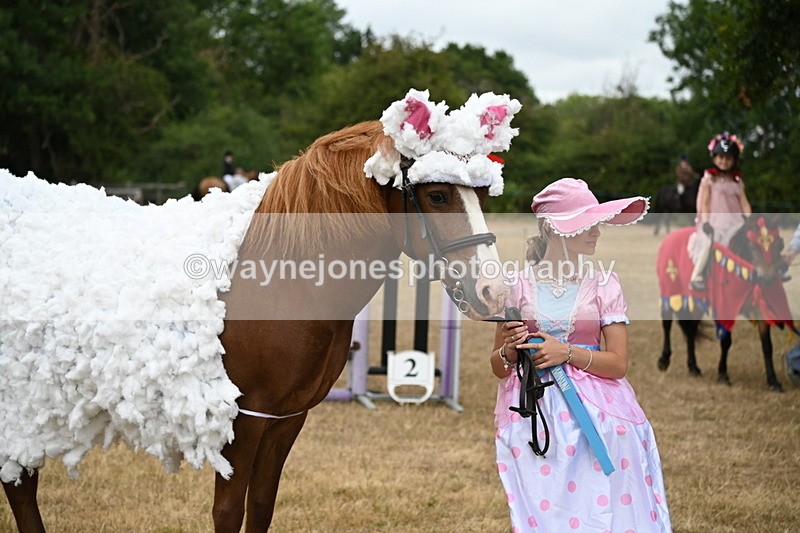 WJ6_8929 - Class 11 Fancy Dress