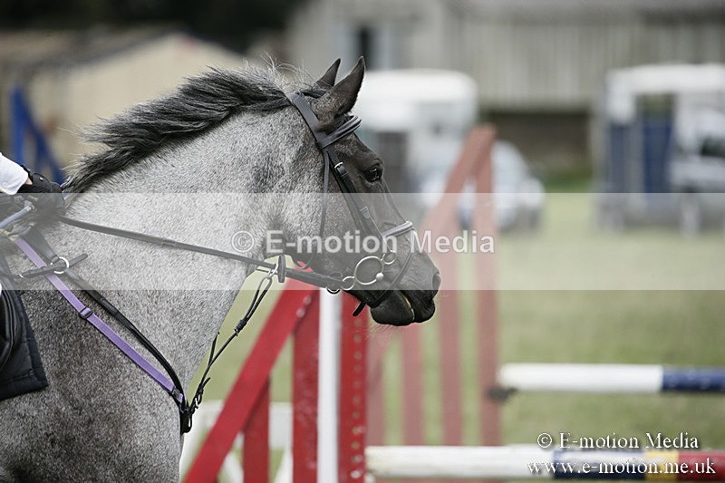 BVR080918 409 - BVRC Novice Dressage & CR 08/09/18