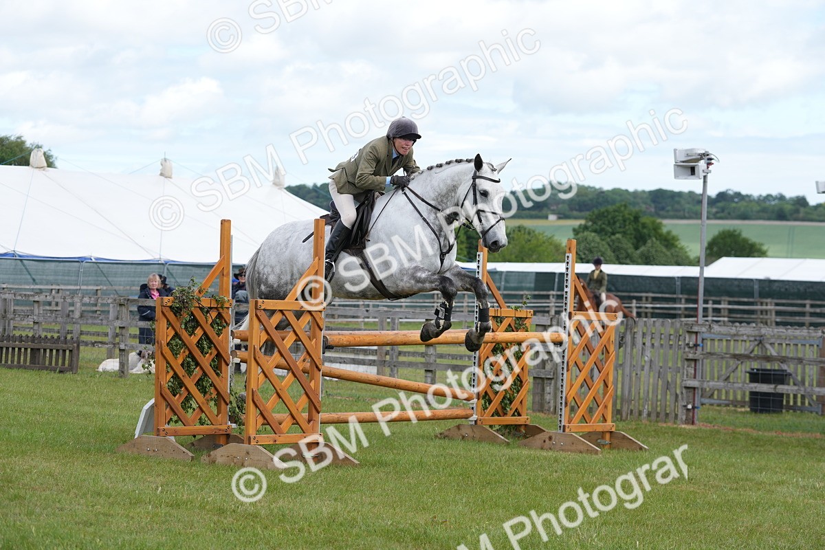 SBM_14868 - Class 100-102 - RIHS Working Hunter