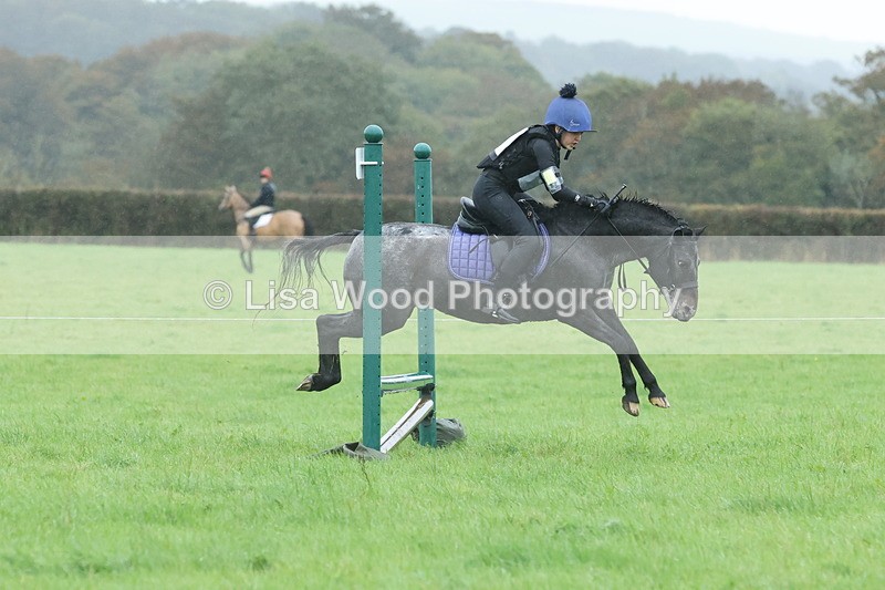 JPP_5154 - Class 1: 65cm : Showjumping