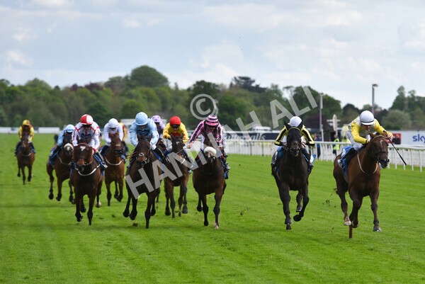 yr11052022r6-26 - Race 6 4.45pm Conundrum HR Consulting Stakes