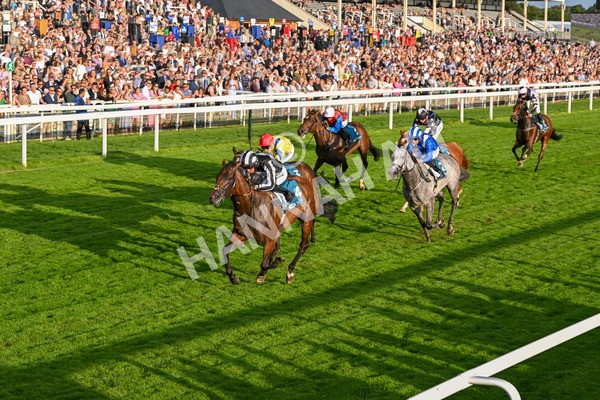 260724-Race 5-Verbier-5396 - Race 5 7.50pm British EBF Lyric Fillies' Stakes