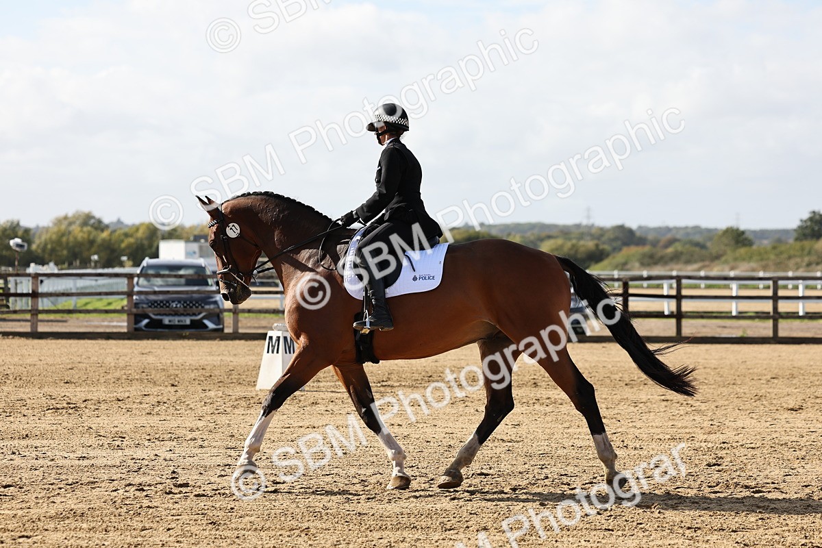 SBM_002232 - Class 50 - Novice 1