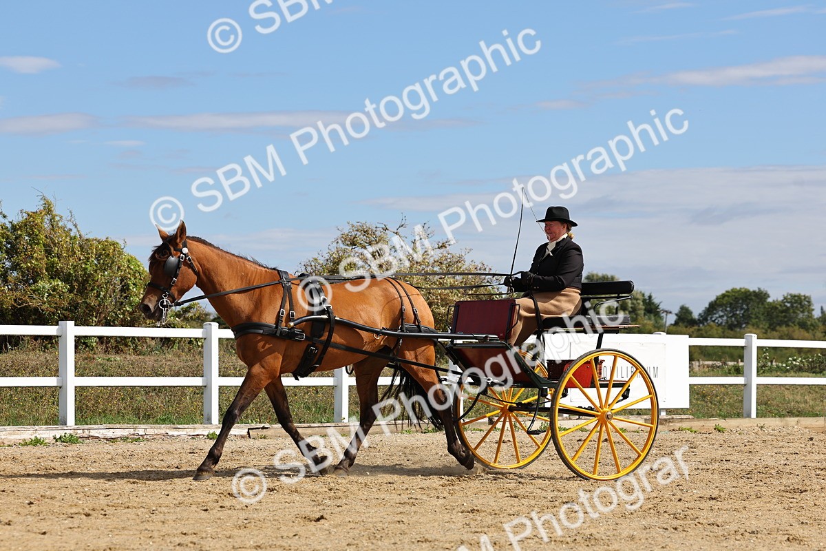 SBM_000915 - Class 8 - Novice Horse or Pony to any vehicle