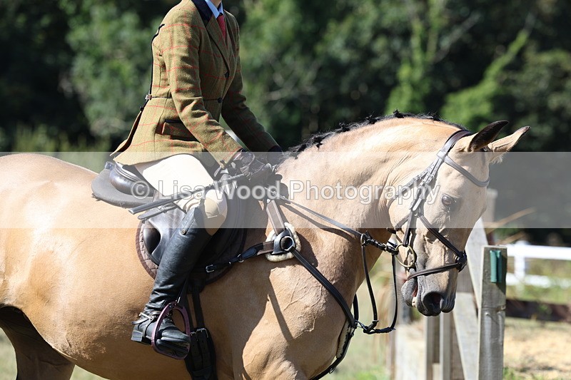 3E7A5792 - Class 5: Working Hunter 90cm