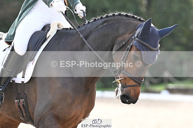 251023A-141736-05488 - B-150-Susie.Berry