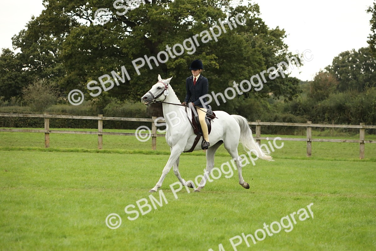 SBM_73770 - S41 - Ridden Equitation (Best Rider)