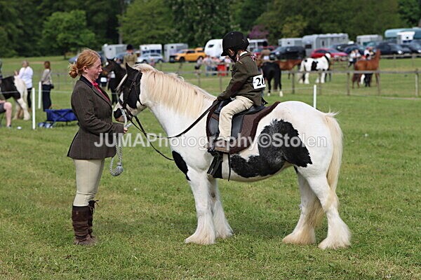 IMG_2287 - Working Hunter