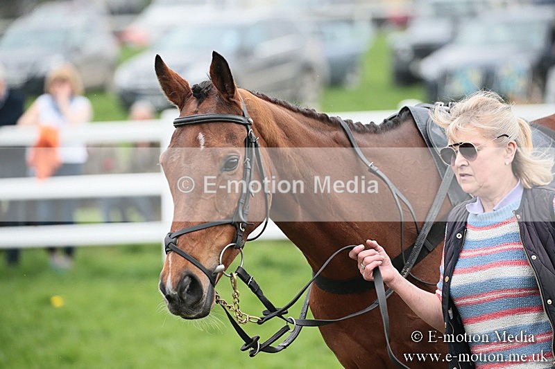 PtP 210418 139 - South & West Wilts Point-to-Point Larkhill 21/04/18