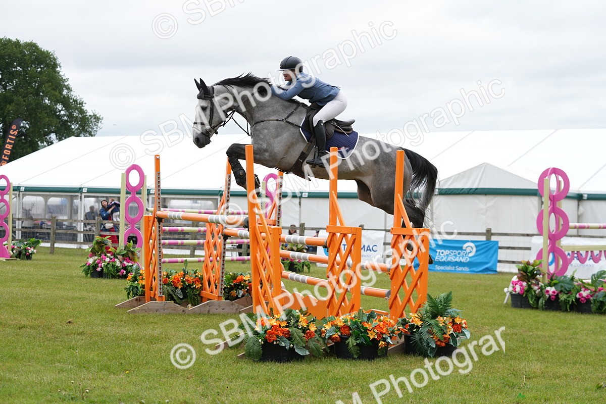 SBM_03178 - Class 201 - British Horse Feeds Speedi Beet Horse of the Year Show Grade  C