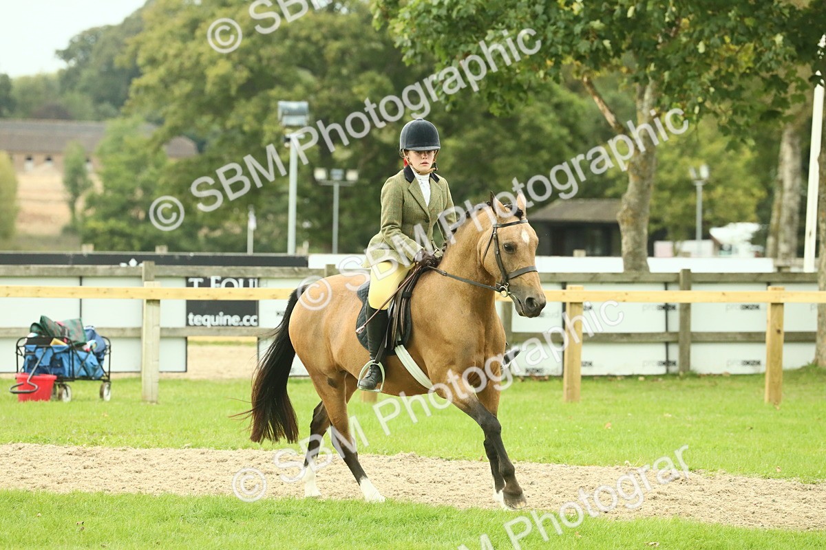 SBM_73967 - S 61 - Show Pony & Show Hunter Pony Ridden