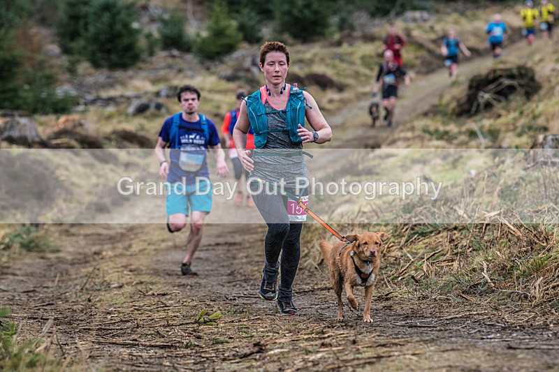 Glentress-2030 - High Terrain Events Glentress Marathon 21 & 10K Trail Races Sunday 18th February 2024