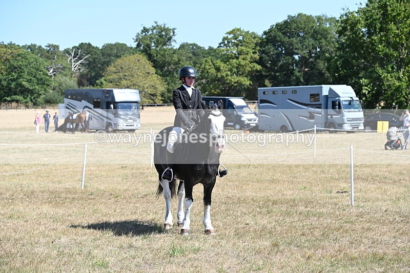 WJ6_8454 - Class 37a Best Loan Pony Ridden