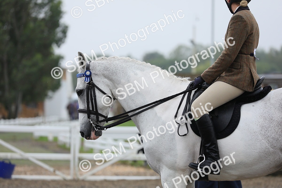SBM_20028 - Class 802 - Ridden Groom - Helpers class