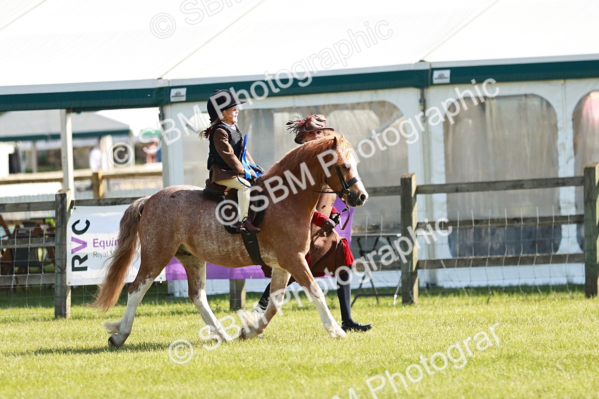 SBM_11348 - Class 106-107 - BSPS LIHS Working Sports Pony