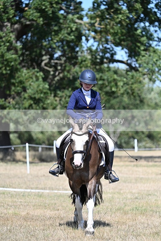 WJ7_0184 - Time 11:03 to 11:28