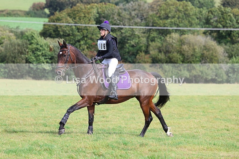 3E7A6485 - Class 1: Trebudannon Open: Pheasant Feeder