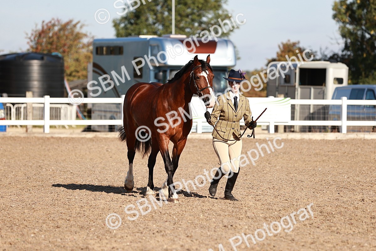 SBM_11419 - Class 402 - IH  Veteran pony