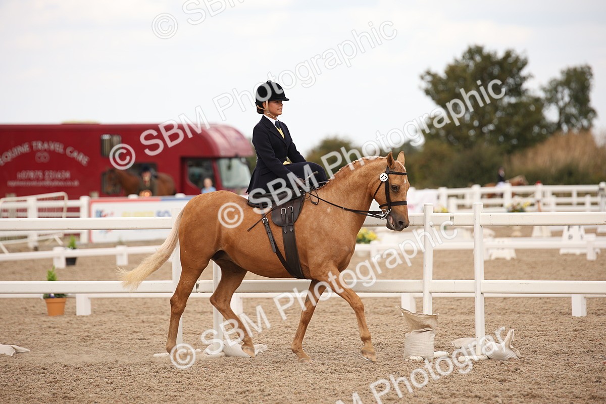 SBM_05314 - Class 22 SSA Equitation