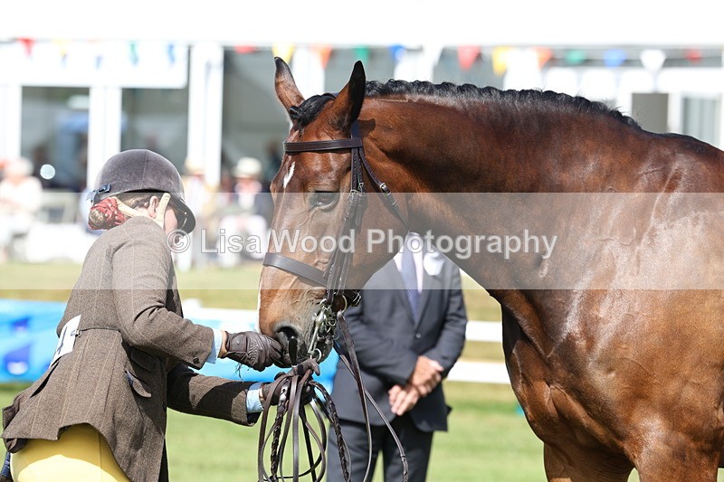 3E7A9537 - Class 4: Rising Star M/H Hunter