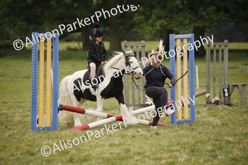 20250517-0219 - Class 1 - 30cm On Lead Rein