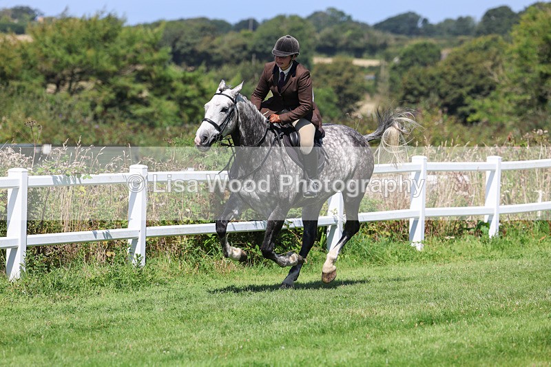 3E7A8986 - Class 6: Open Working Horse