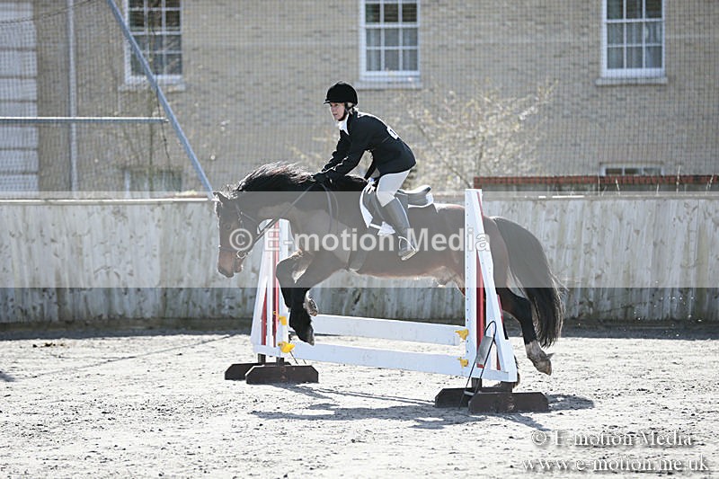 BVRC SJ 170319 157 - Bourne Valley Riding Club Showjumping 17/03/19