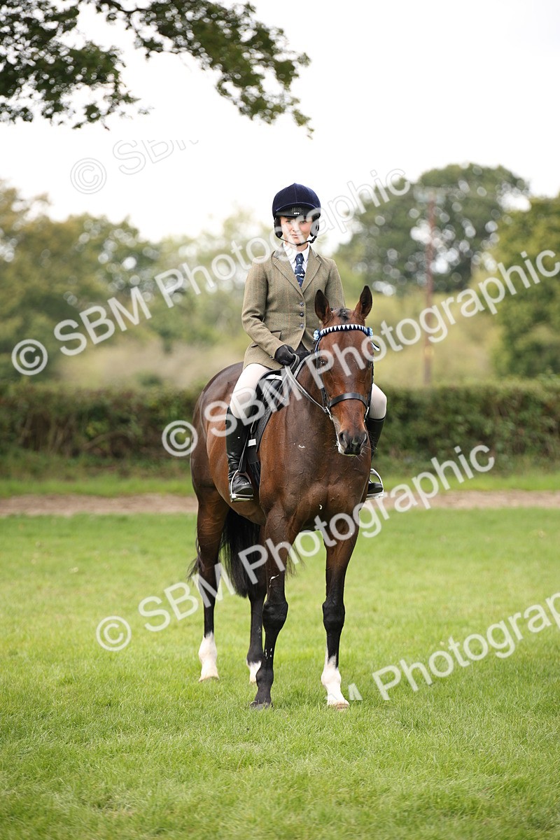 SBM_65957 - S64 - Riding Horse & Hack & Thoroughbred Ridden