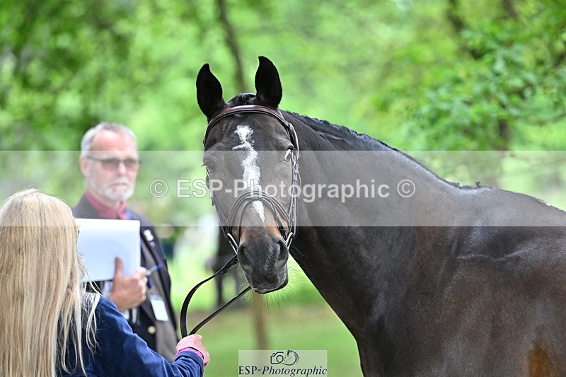 250521A-152731-00521 - B-314-Katey.Cuthbertson-INCOGNITO.IV