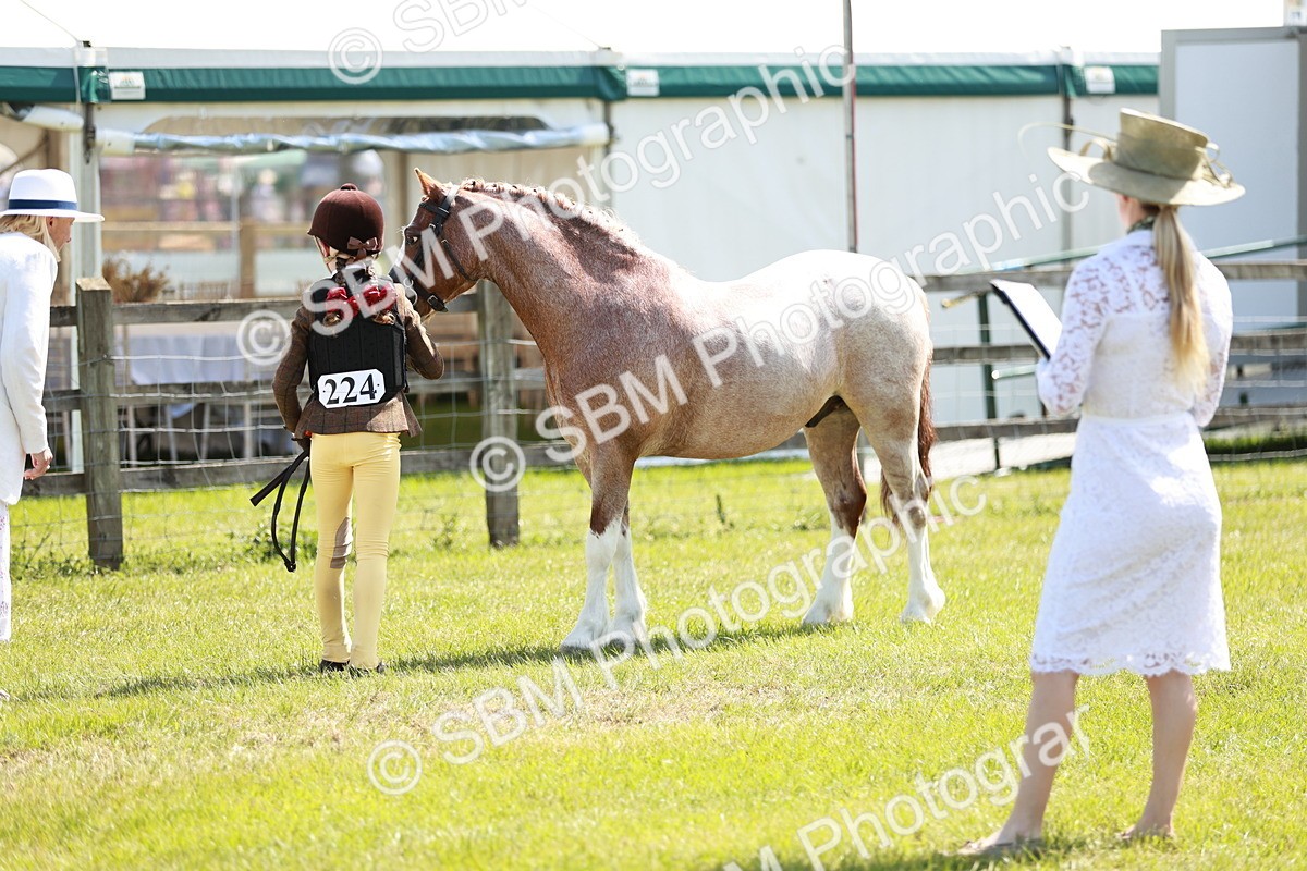 SBM_13526 - Class 108-109 - BSPS LIHS Open Gradle & Nursery Stakes