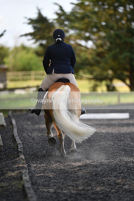 WJ5_9183 - Time 10:10 to 10:47