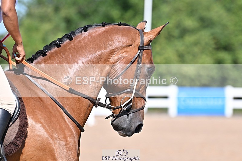 250712-105013-00284 - Cls 8 95cm Amateur Qualifier