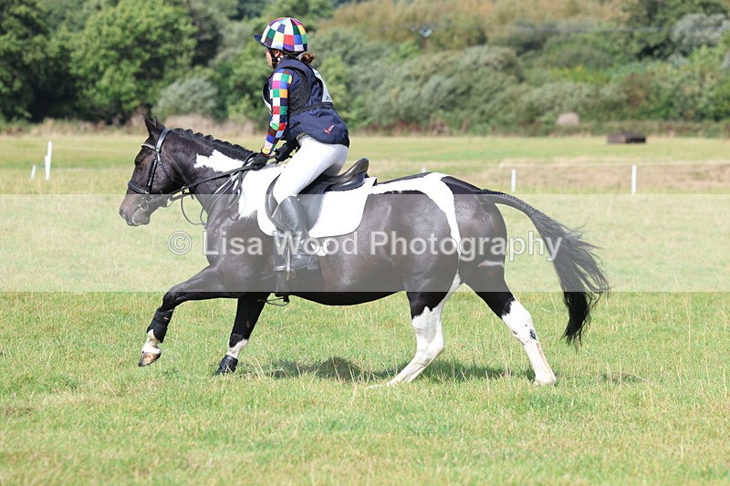 3E7A6550 - Class 1: Trebudannon Open: Pheasant Feeder